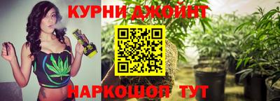 spice Пенза