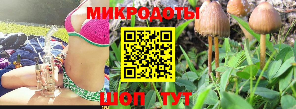 Гурьевск  дарнет шоп  Псилоцибиновые грибы мицелий  Вход с VPN  Галлюциногенные грибы мицелий 